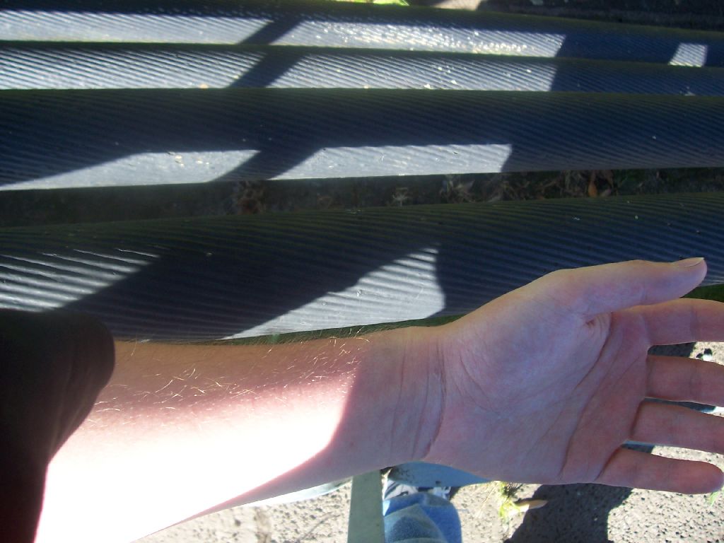 100_2661.JPG